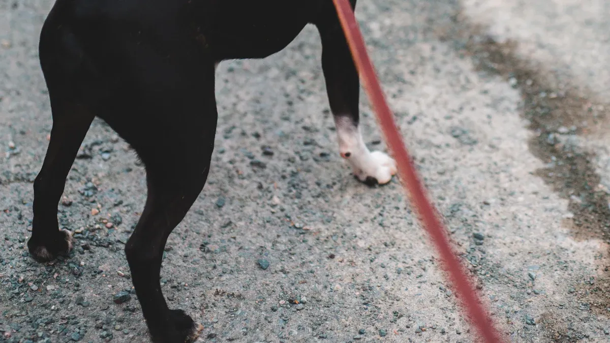 Safety and Common Mistakes