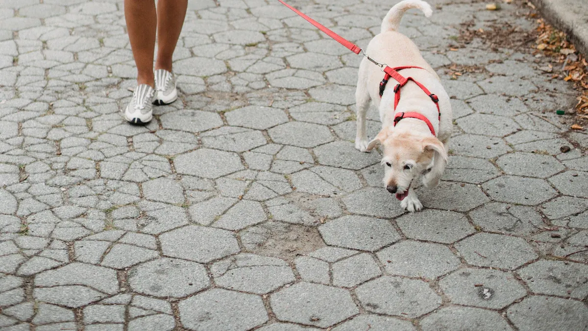 Choosing the best hands free dog leash: materials and comfort