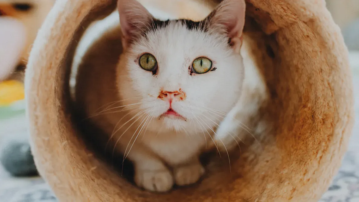 Cat tunnel bed materials and construction