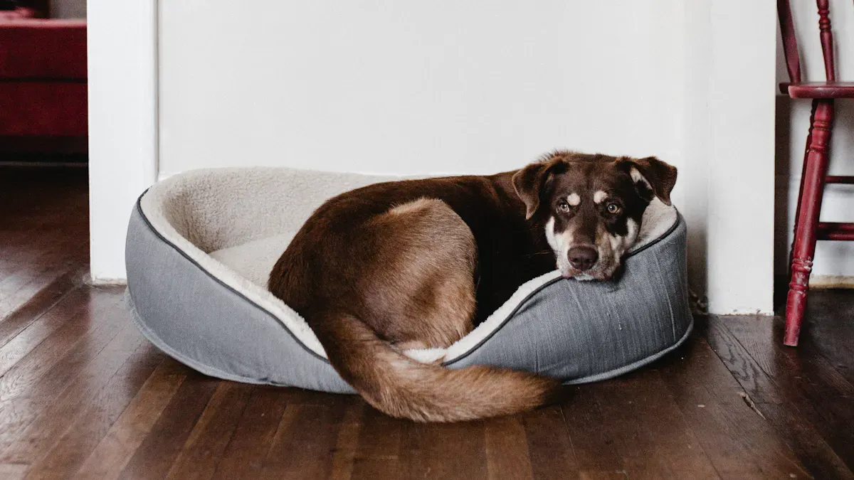 Dog Bed Sizing Guide