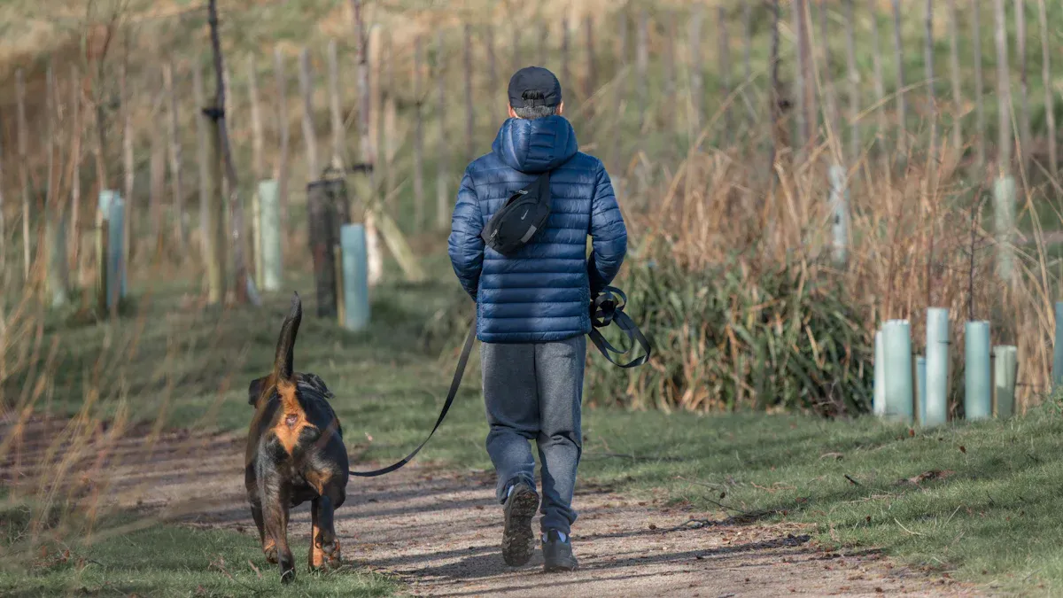 Best hands free dog leash for running, hiking, and everyday use