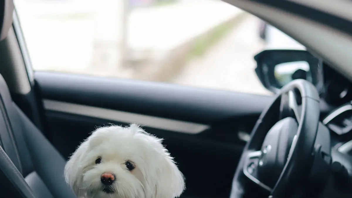 Sizing checks for dog car seats