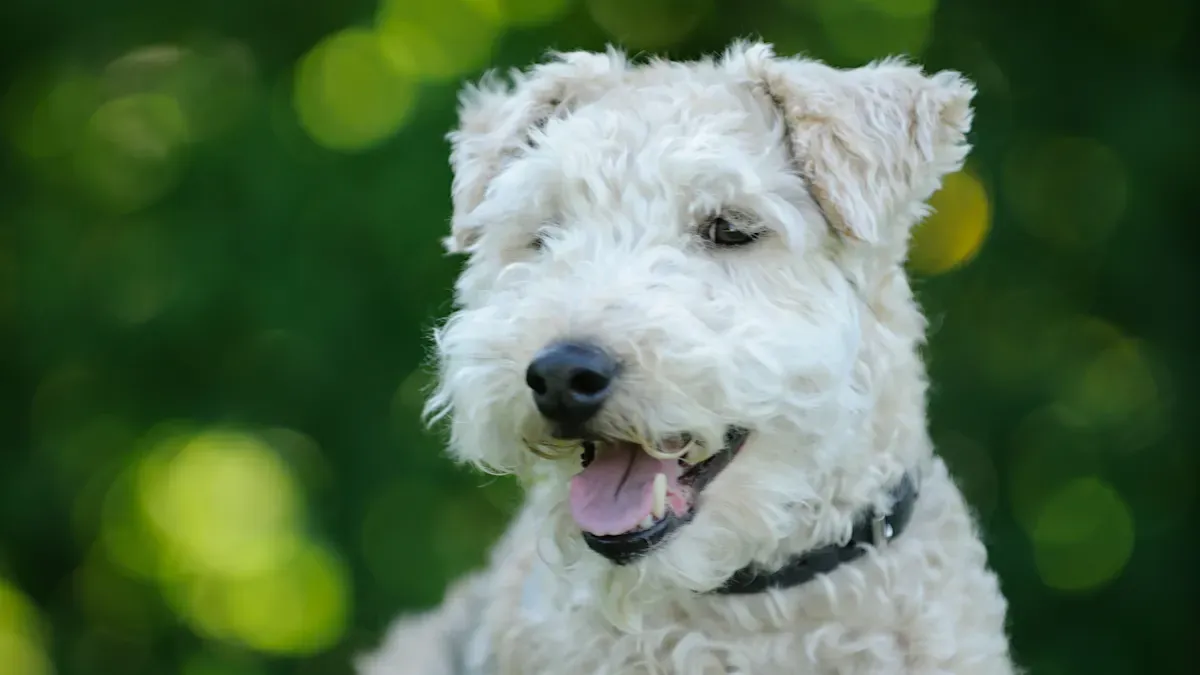 Dog Car Seat Covers Stability Guide