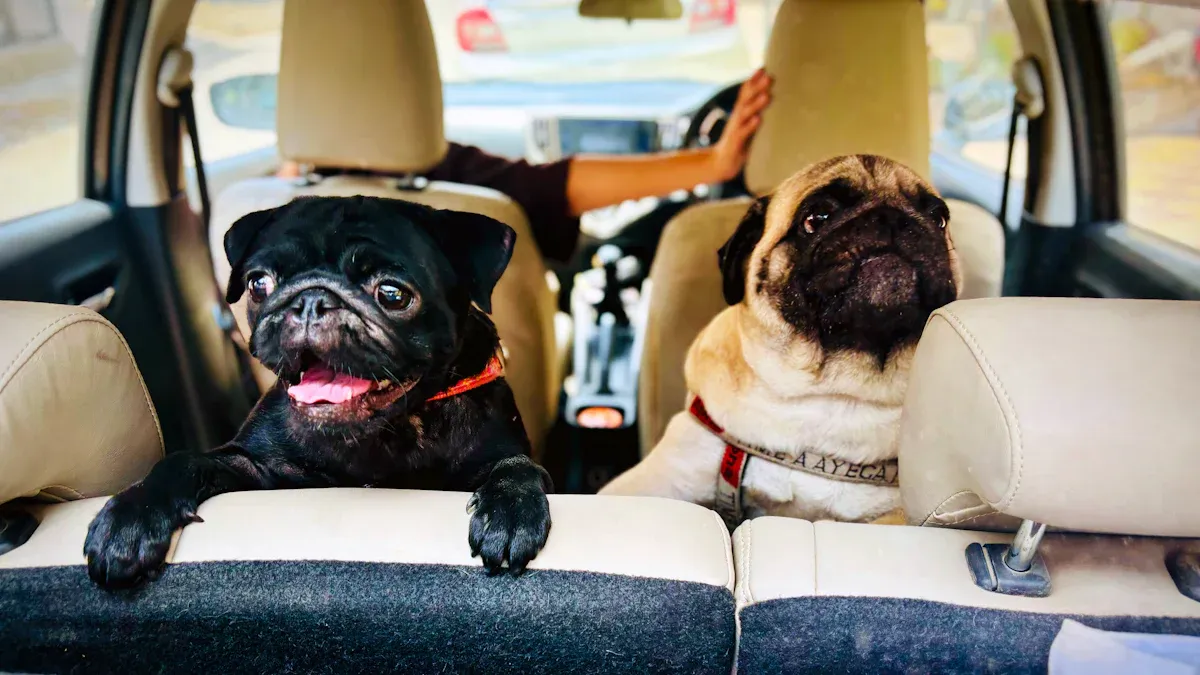 Back seat dog cover security and safety basics