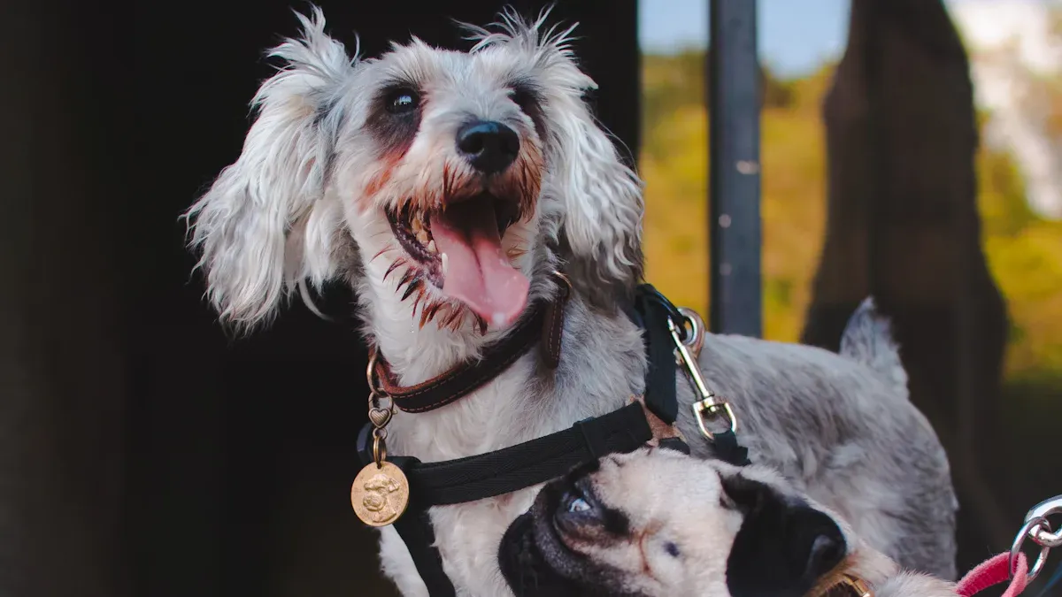 Dog harness materials and features