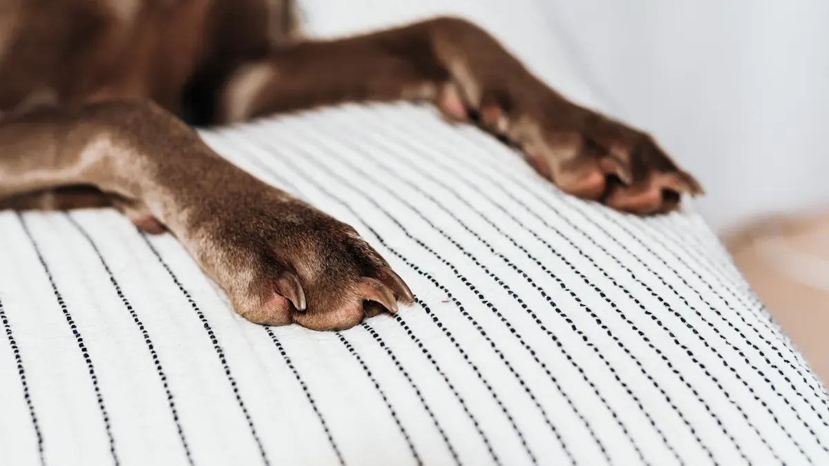 Car Pet Mat Materials & Construction