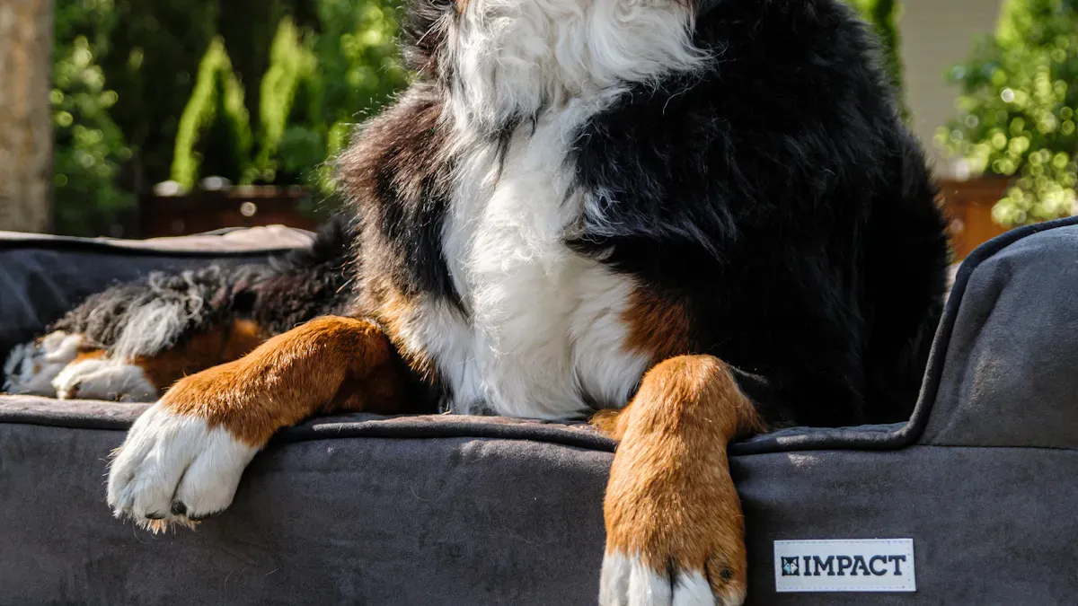 Sizing and Placement for Outdoor Dog Beds