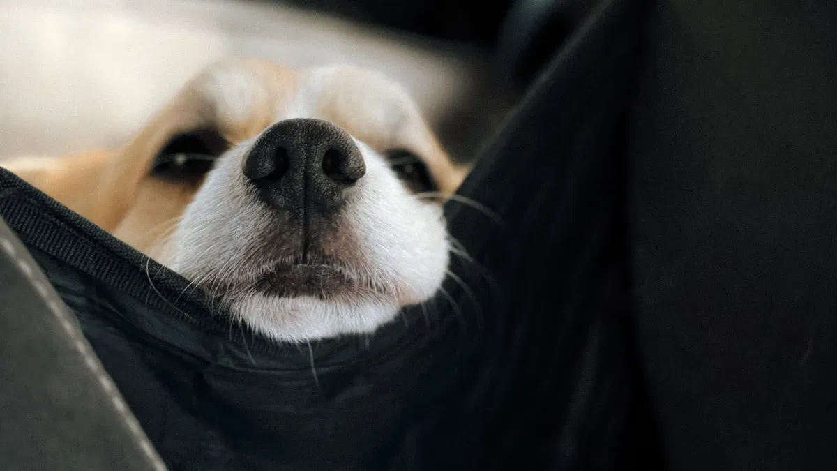 When a Soft Car Seat Cover for Pet Is Enough