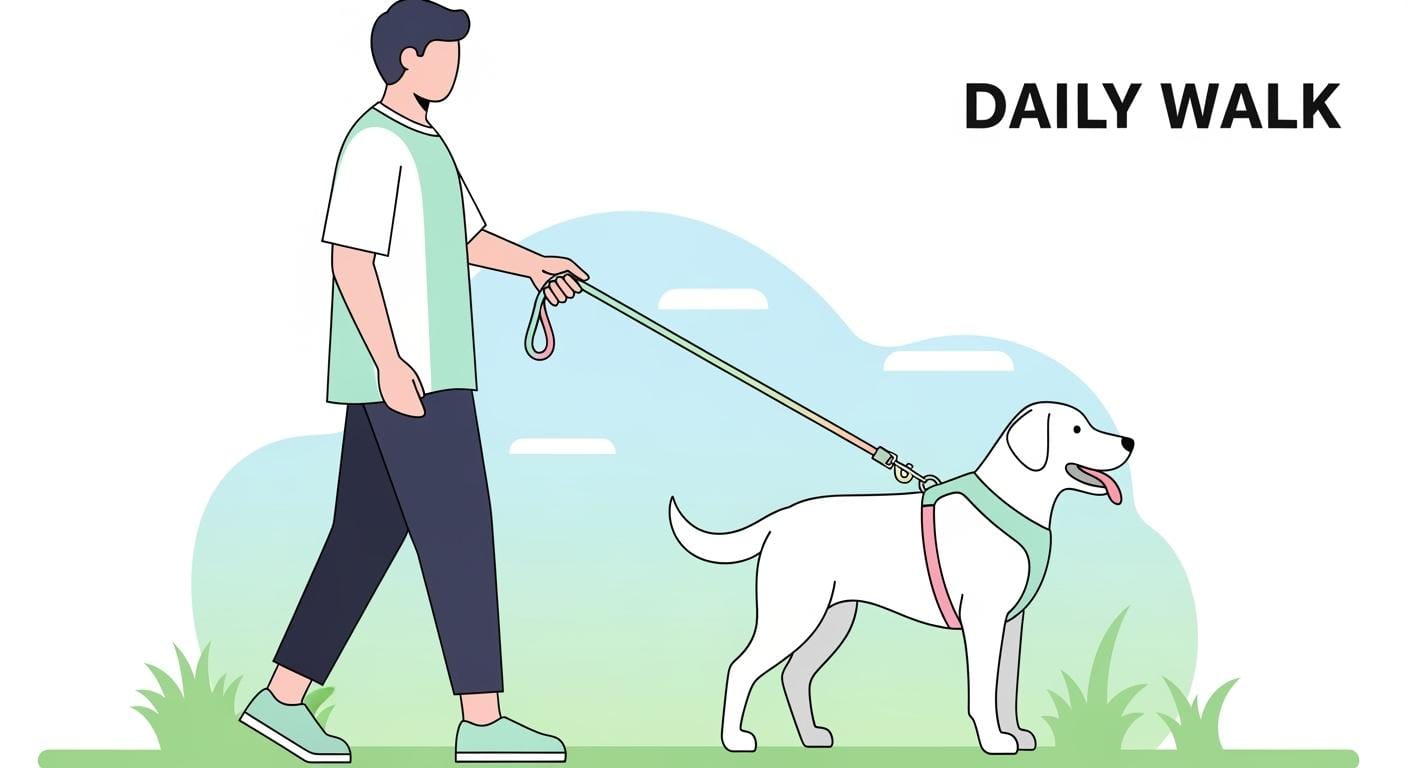 Walk Dog Leash Daily Comfort or Lower Clip Drag
