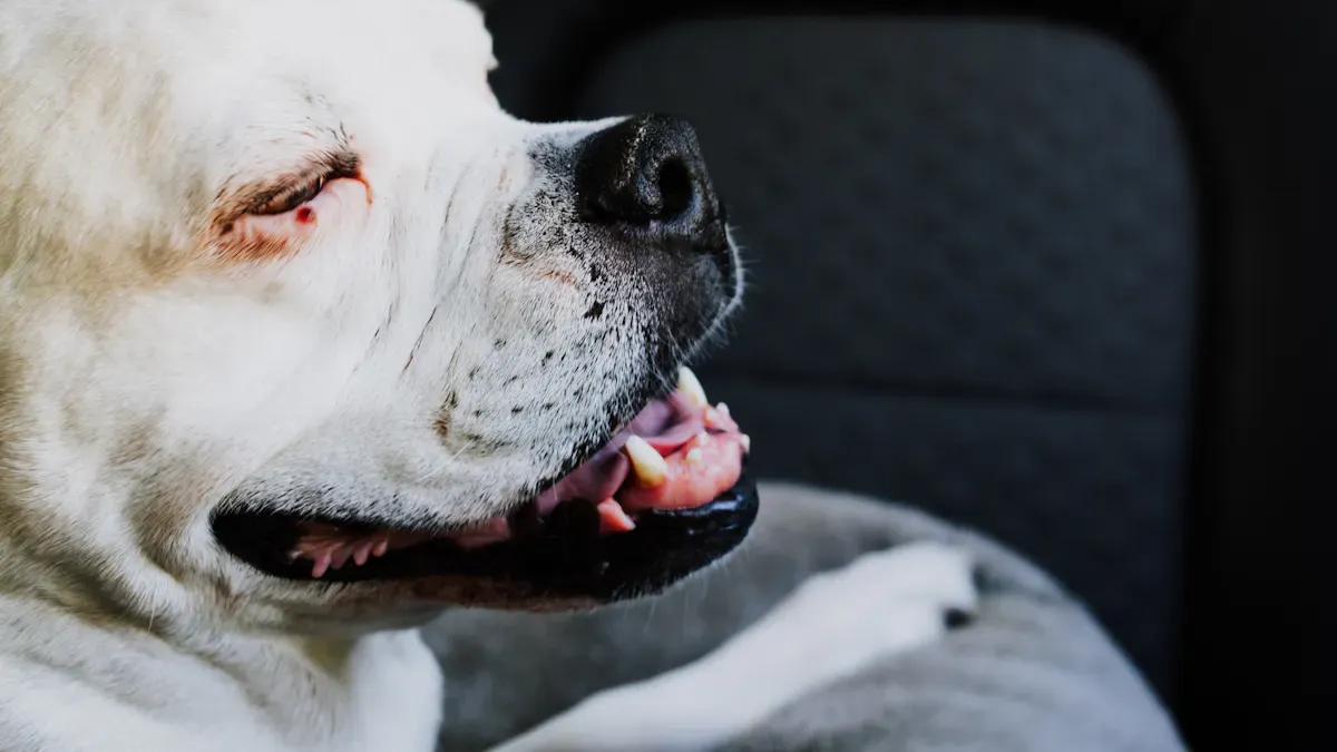 Setup Mistakes and Quick Safety Checks