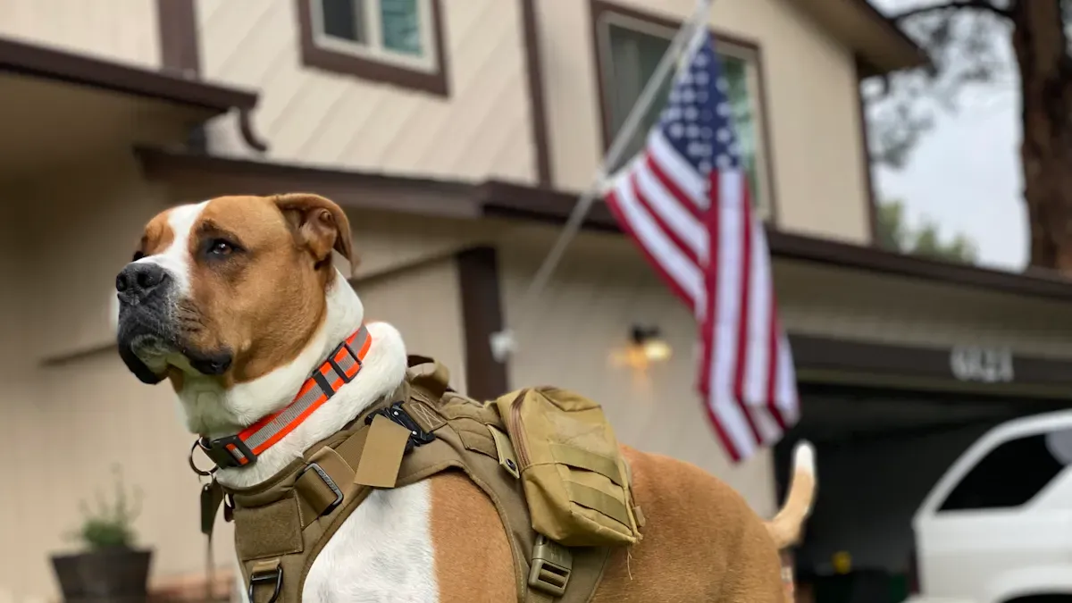 Tactical Dog Harness: Features and Fit