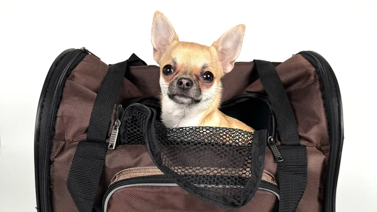 Dog Travel Carriers: What to Expect with Young Pups
