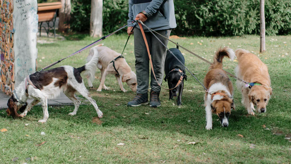 Signs of leash spec failure