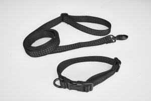 通用牵引绳和项圈-1